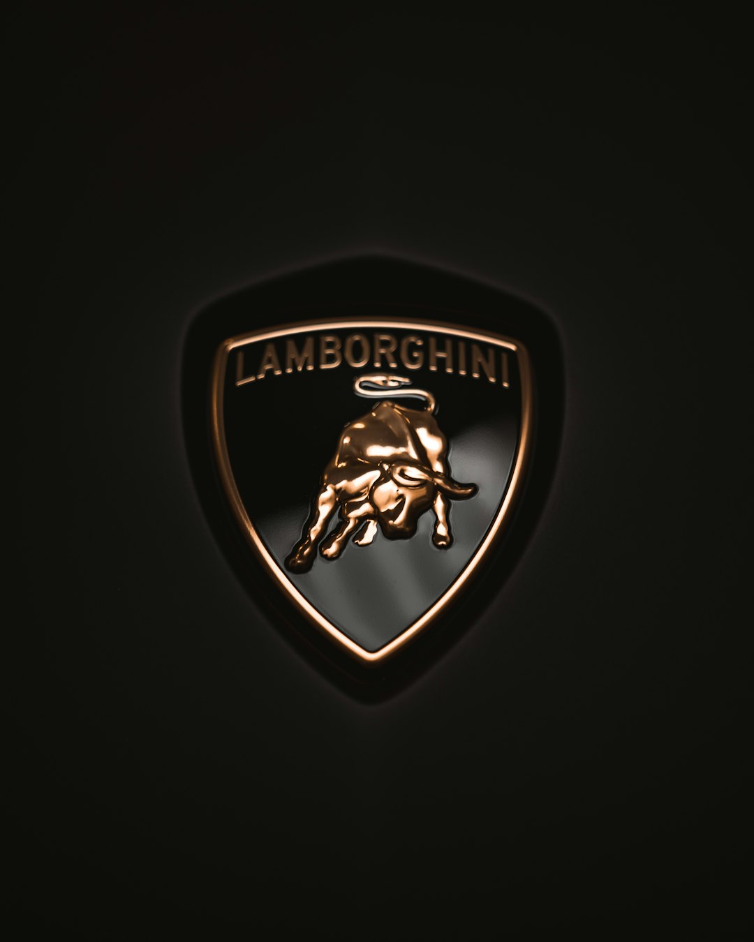 Custom Car Covers